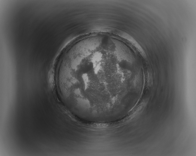 X0000102770878200808181127