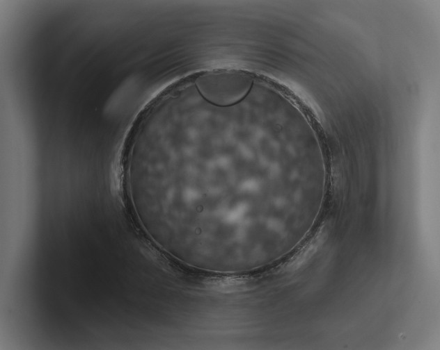 X0000102770879200808181127