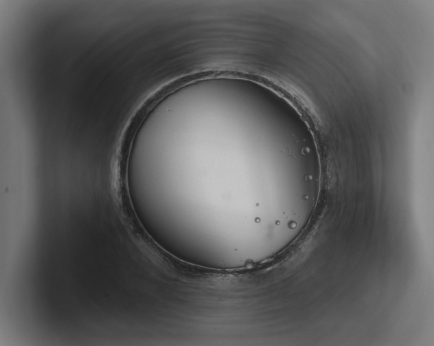 X0000102770880200808181127