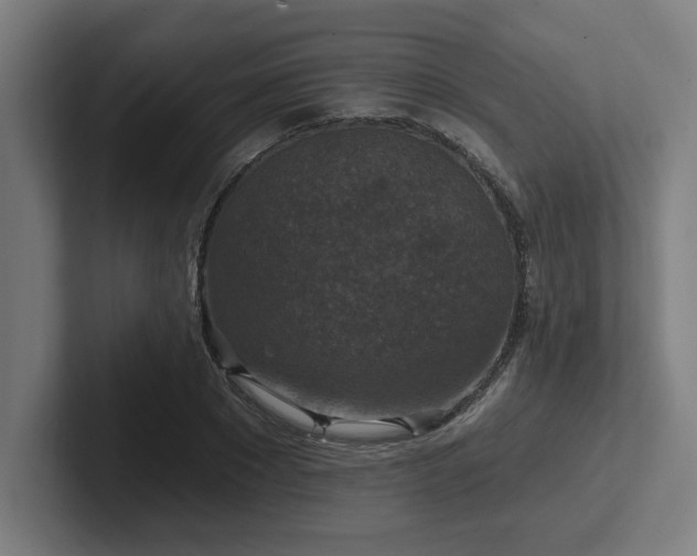 X0000102770881200808181127