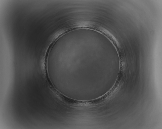 X0000102770882200808181127