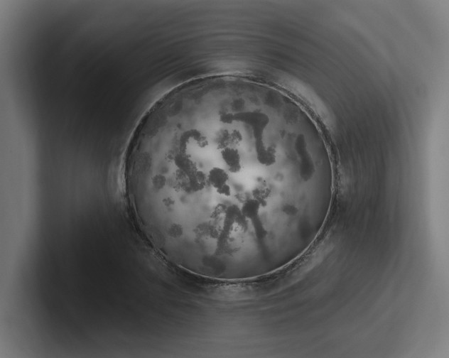 X0000102770883200808181127