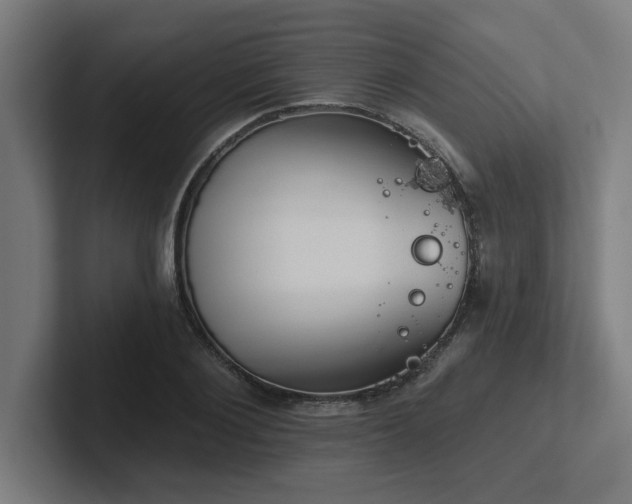 X0000102770884200808181127