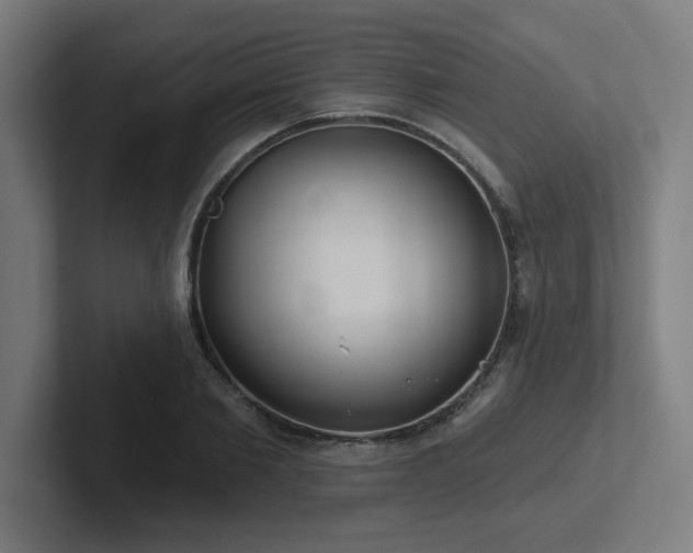 X0000102770885200808181127