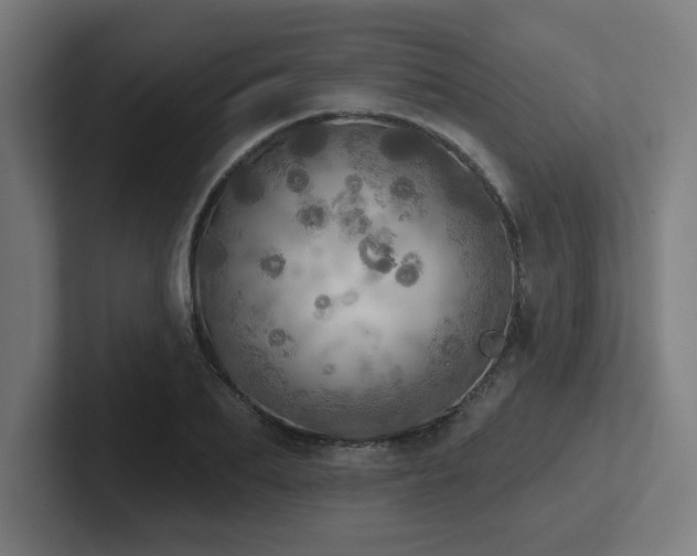 X0000102770887200808181127