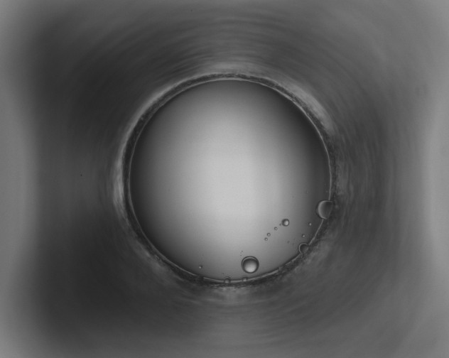 X0000102770888200808181127