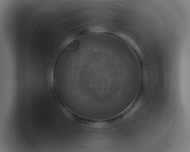 X0000102770889200808181127