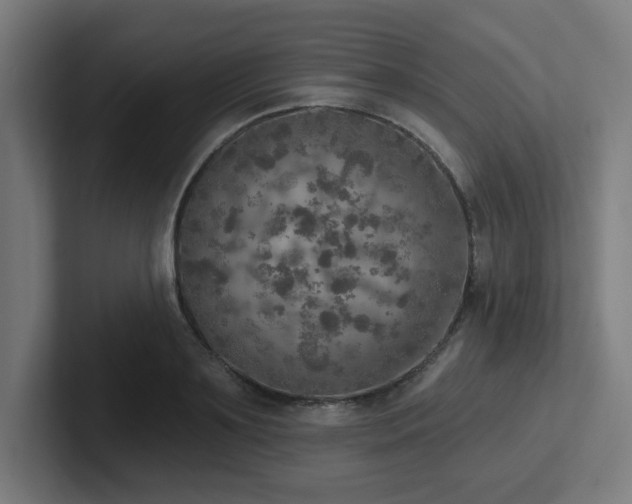 X0000102770891200808181127