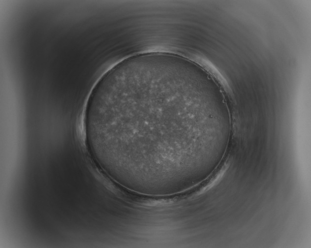 X0000102770892200808181127