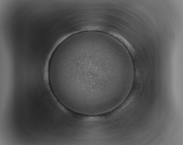 X0000102770894200808181127