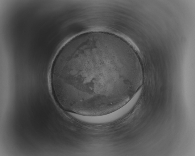 X0000102770895200808181127