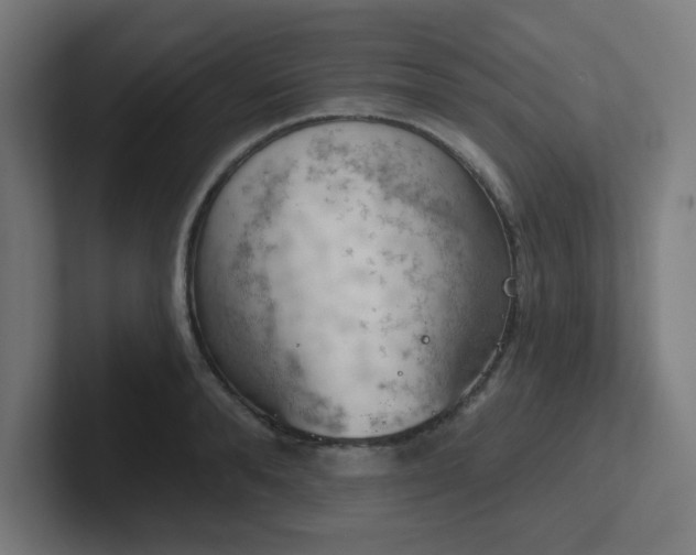 X0000102770896200808181127