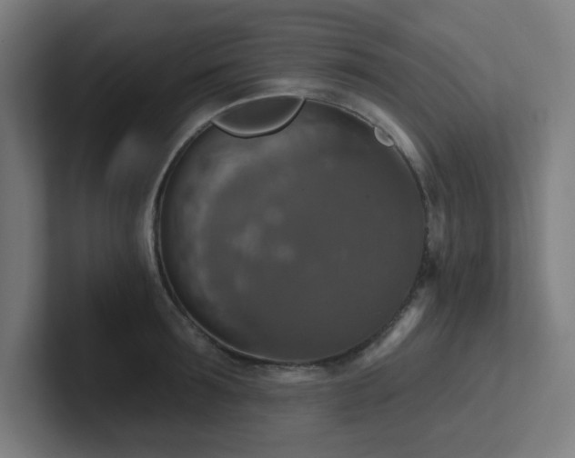 X0000102770899200808181127