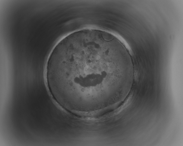 X0000102770903200808181127