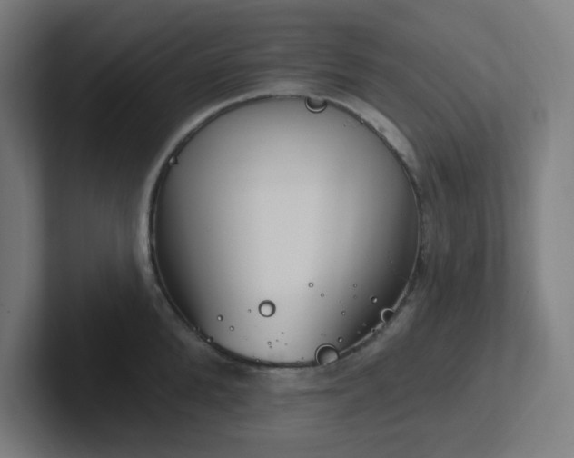 X0000102770904200808181127