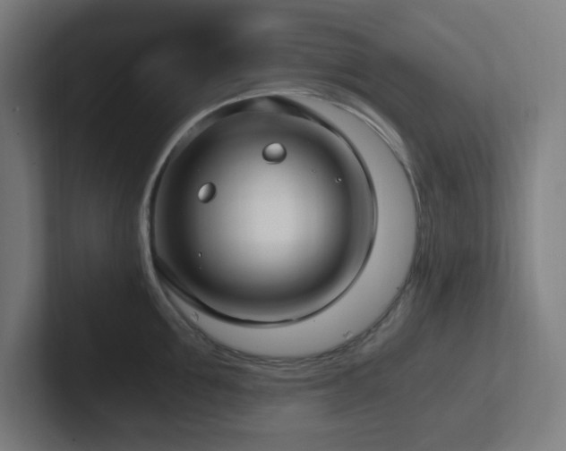 X0000102770907200808181127