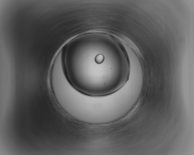 X0000102770908200808181127