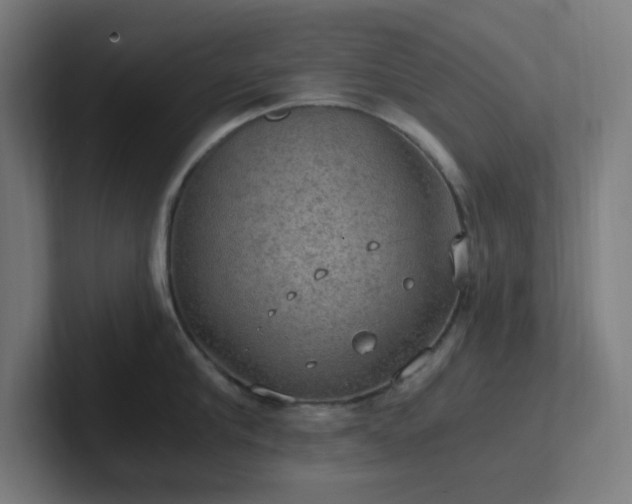 X0000102770910200808181127