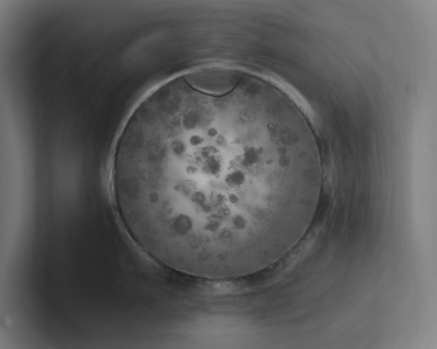 X0000102770911200808181127