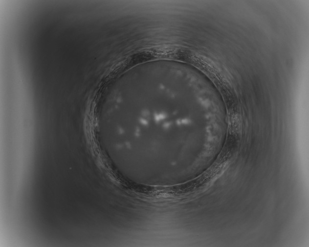 X0000102770913200808181126