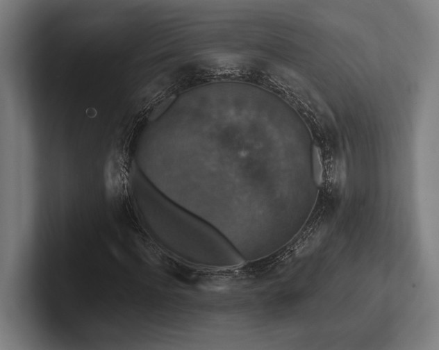 X0000102770916200808181126