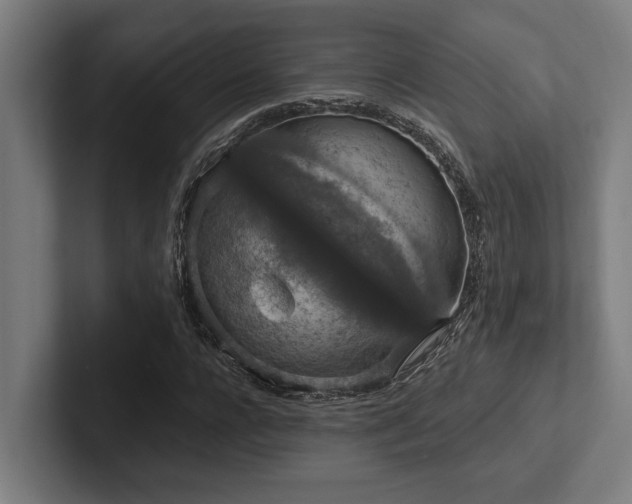 X0000102770920200808181126