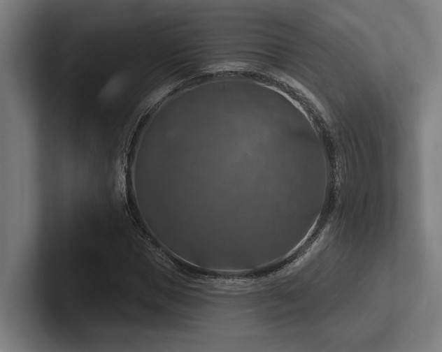 X0000102770921200808181126