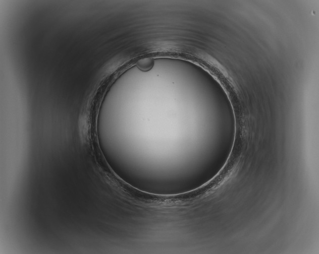 X0000102770922200808181126