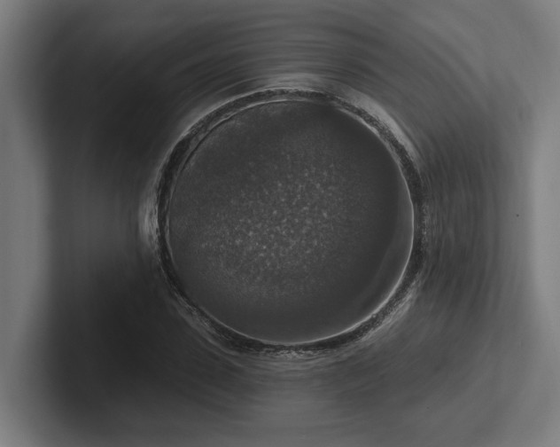 X0000102770923200808181126