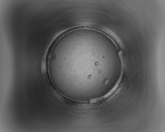 X0000102770924200808181126