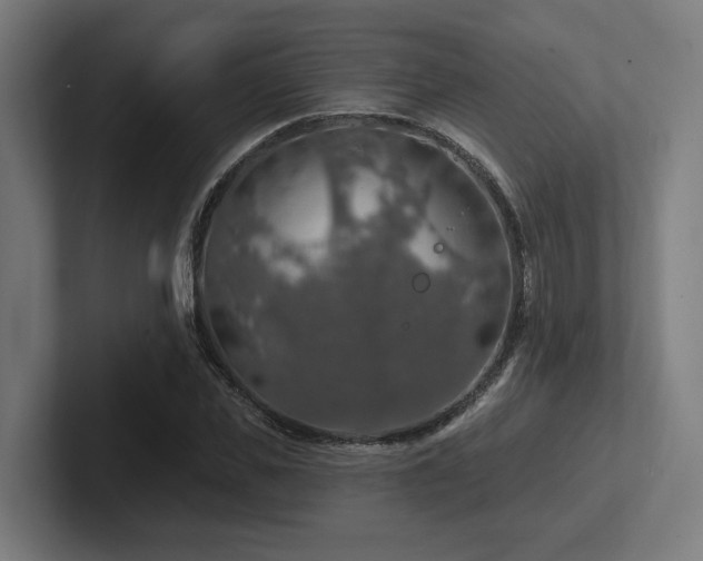 X0000102770925200808181126