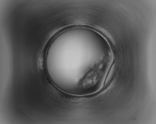 X0000102770926200808181126