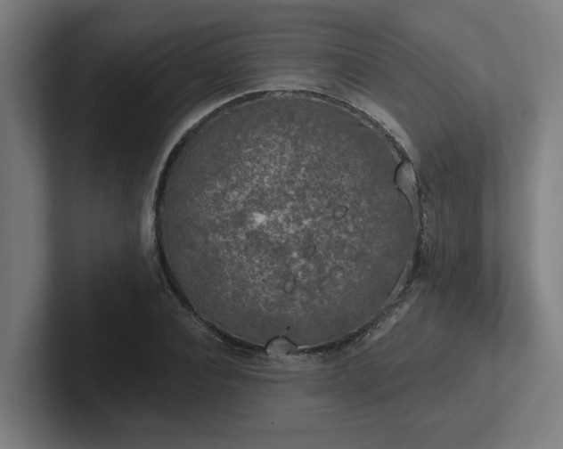 X0000102770928200808181126