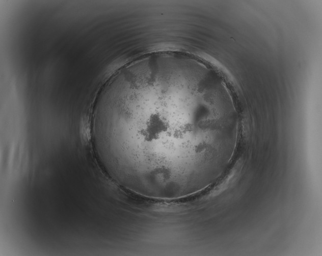 X0000102770929200808181126