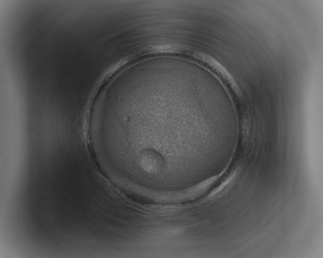 X0000102770930200808181126