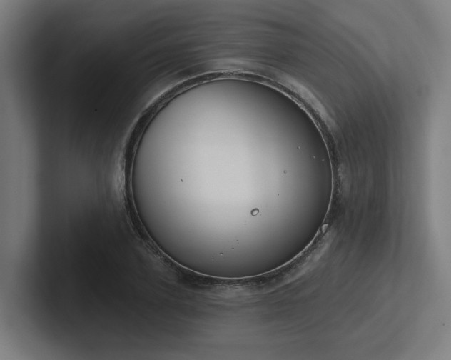 X0000102770931200808181126