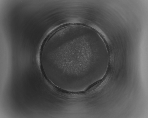 X0000102770935200808181126