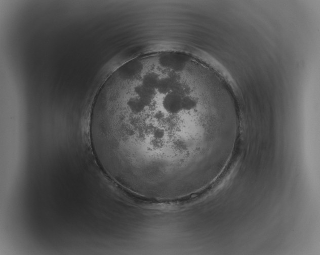 X0000102770937200808181126