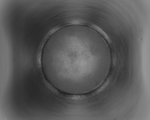 X0000102770938200808181126