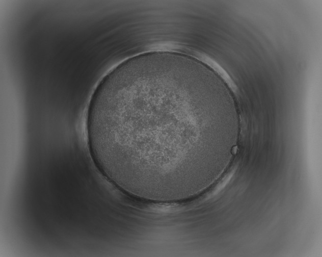 X0000102770939200808181126