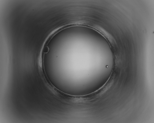 X0000102770940200808181126