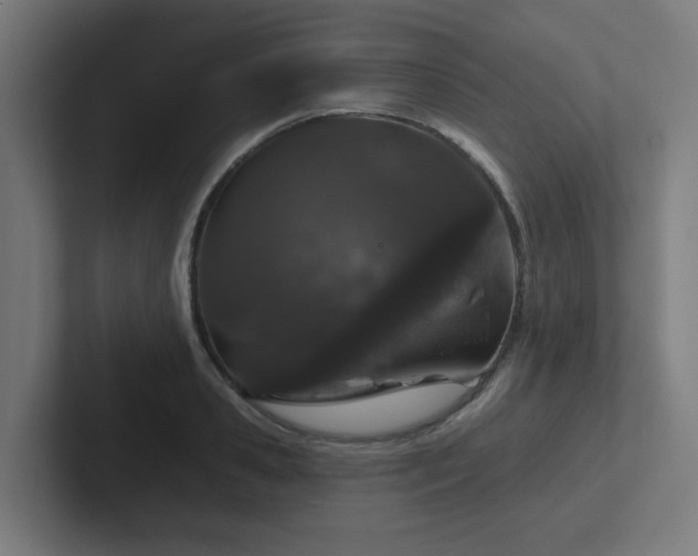 X0000102770941200808181126