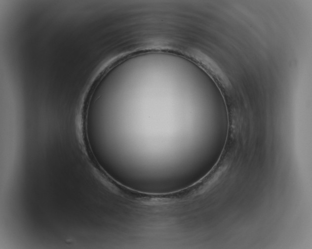 X0000102770942200808181126