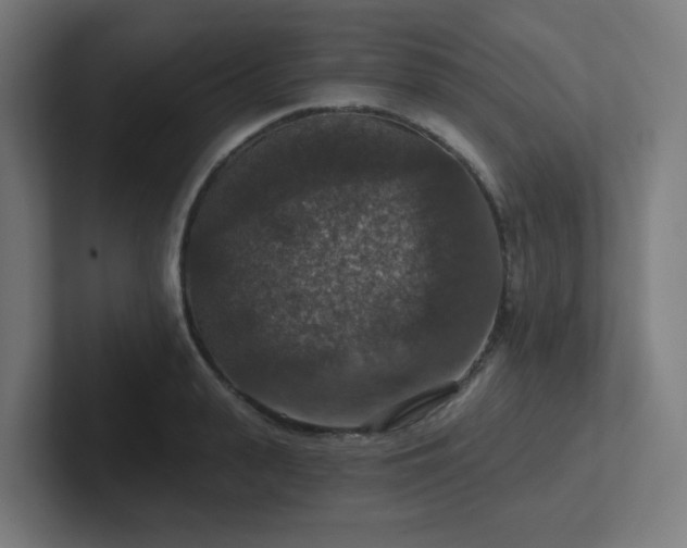 X0000102770943200808181126