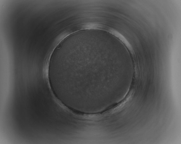 X0000102770946200808181126