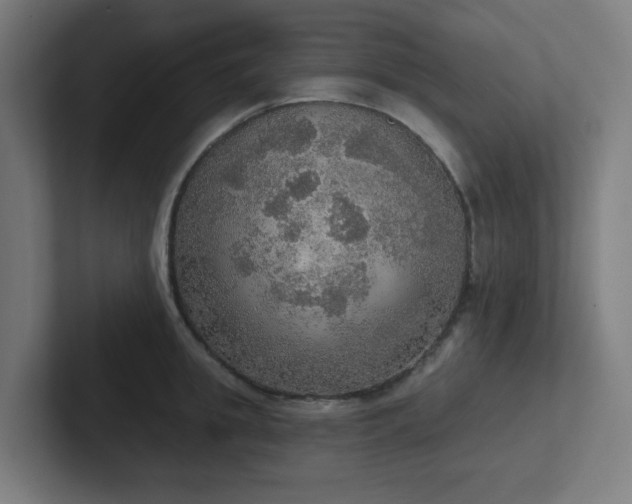 X0000102770949200808181126