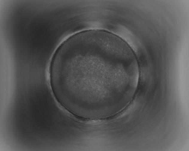 X0000102770950200808181126