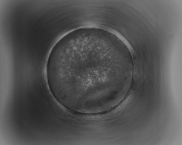 X0000102770951200808181126