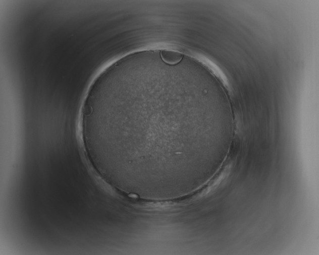 X0000102770952200808181126