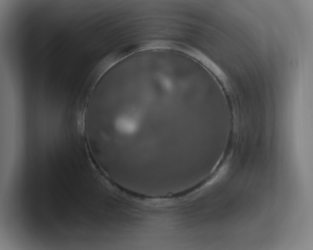 X0000102770953200808181126